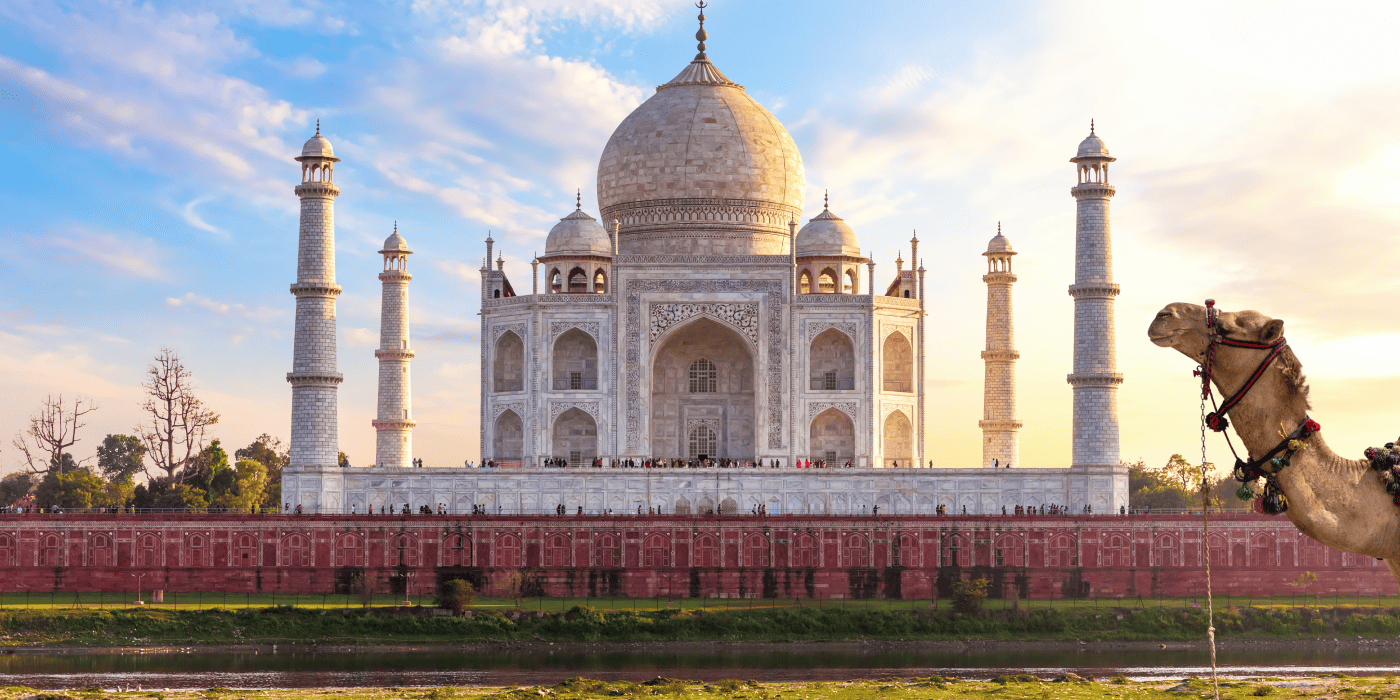 Cover (40) Cover (40)