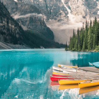 Royal Palm Beachcomber Special